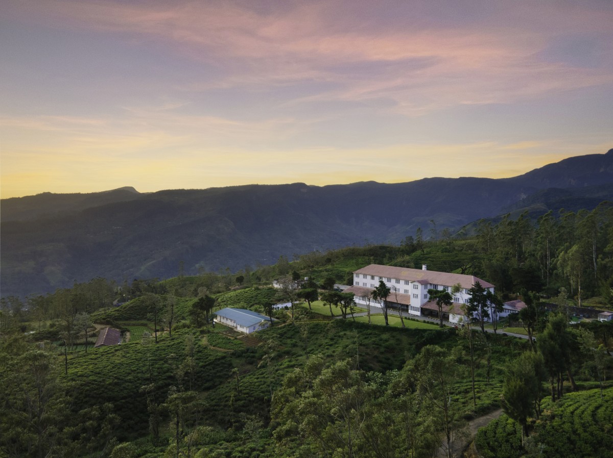 Tea & Experience Factory Hotel